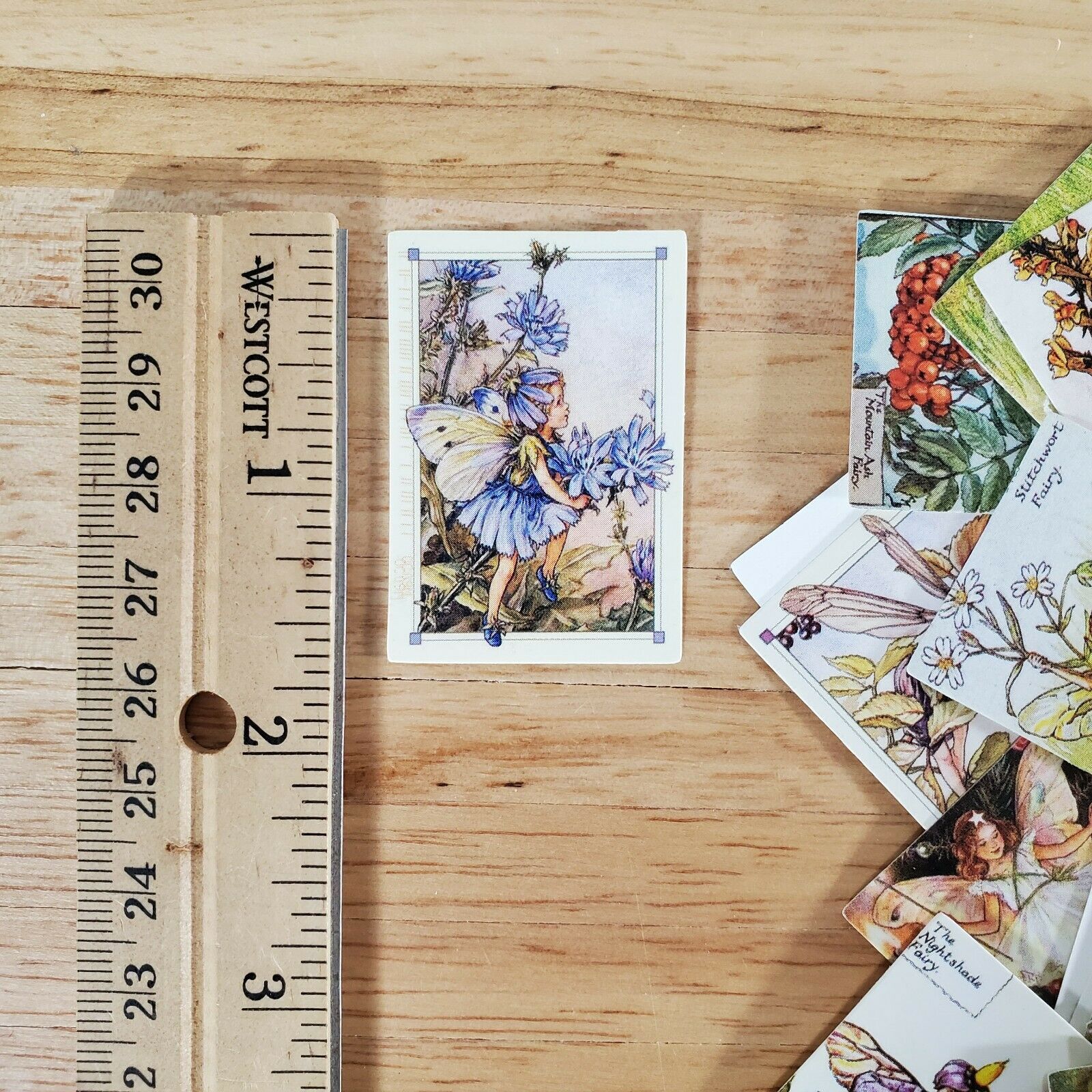 100 Mini Flower Fairy Fairies Prints on Cardstock Vintage Pictures Scrapbooking - Image 4