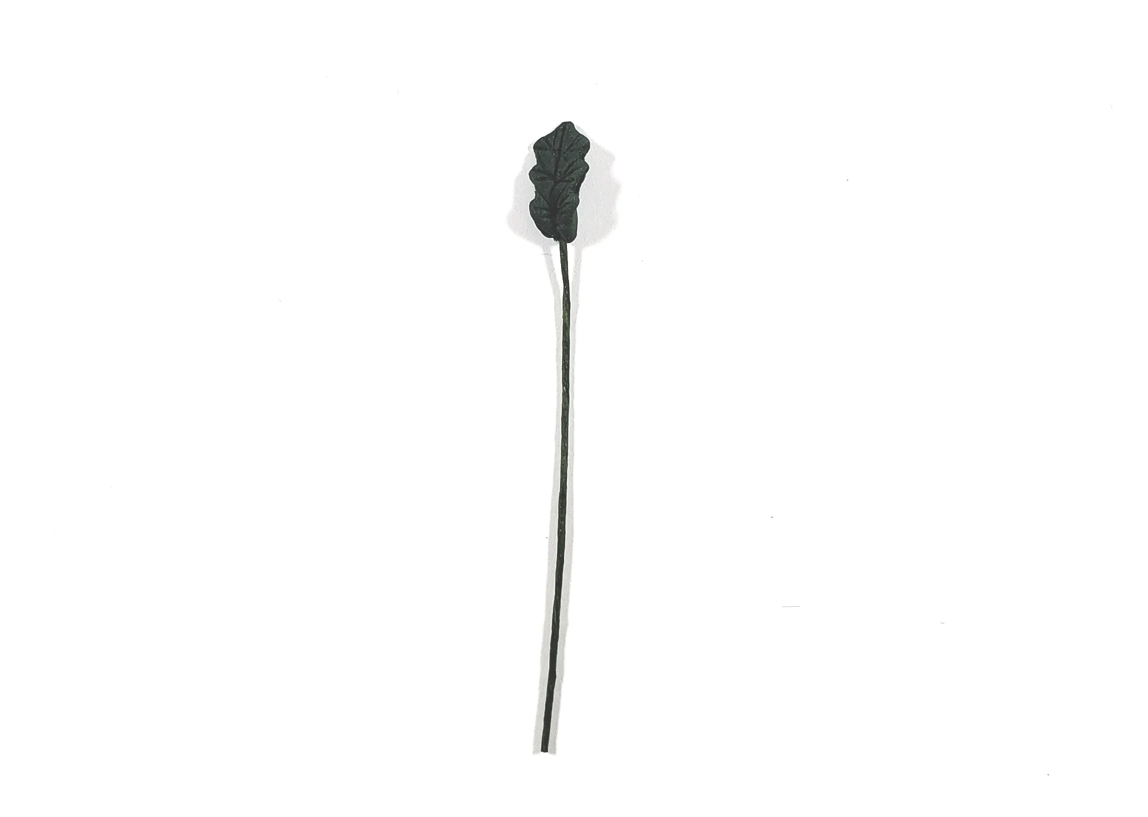Dollhouse Dark Green Leaves Long Stem Set of 10 1:12 Scale Miniature - Image 2