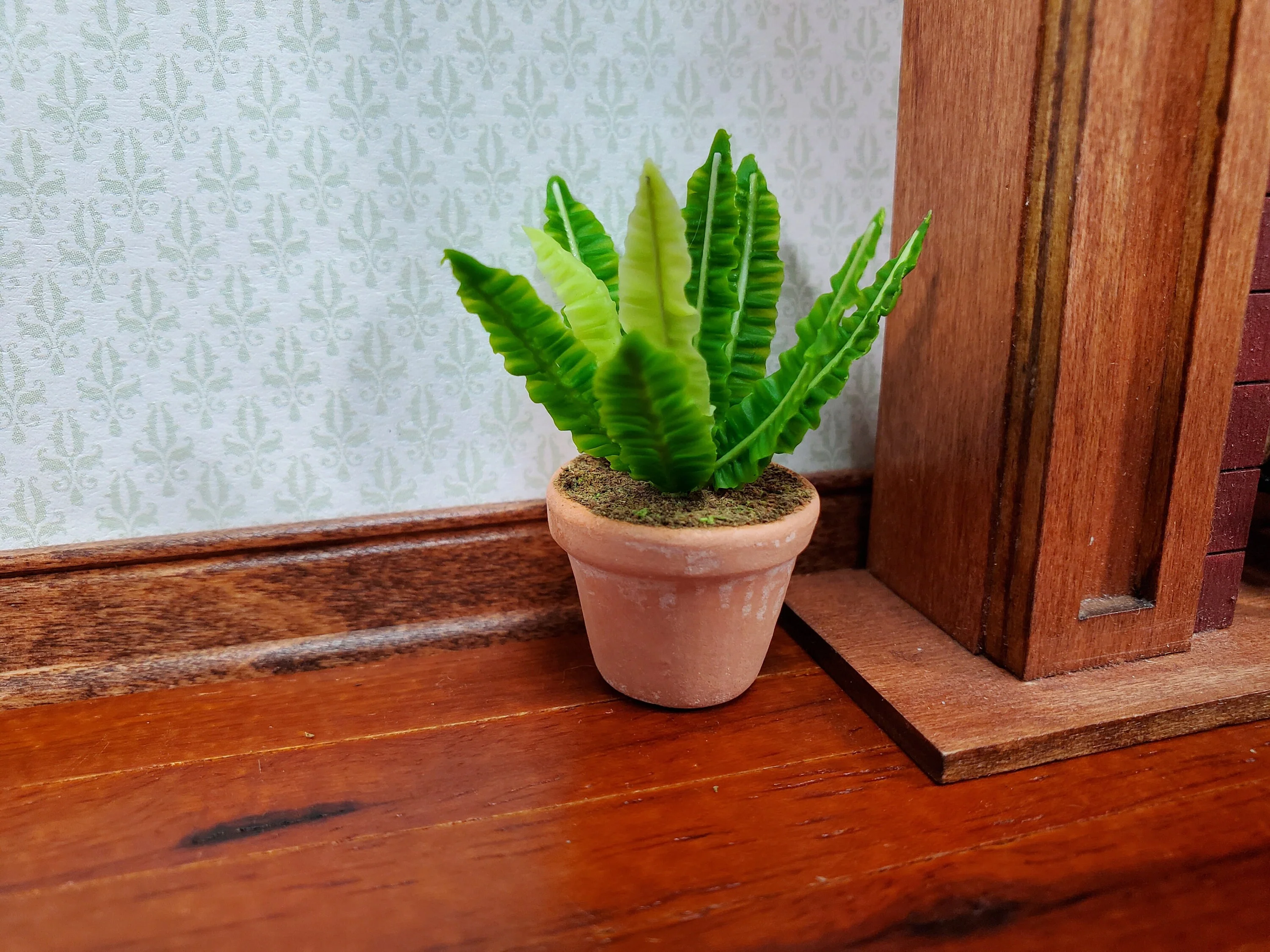 Dollhouse Houseplant Broadleaf Fern in a Terra Cotta Pot 1:12 Scale Miniature Plant