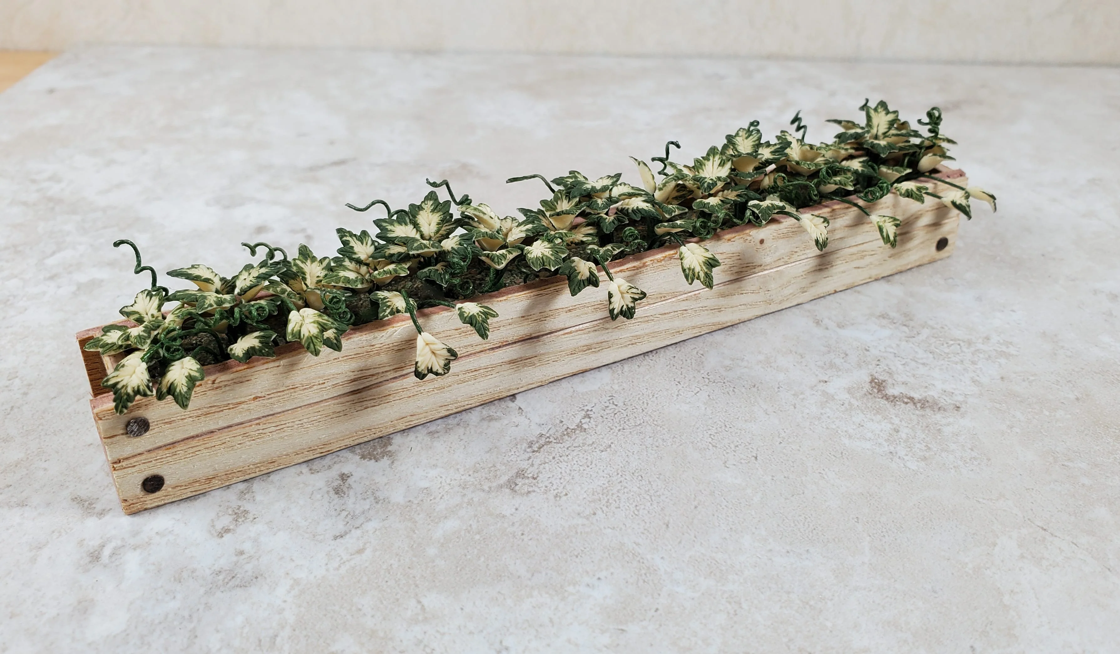 Dollhouse Inner Variegated Ivy in 5.25" Window Box Planter 1:12 Scale Miniature - Image 3