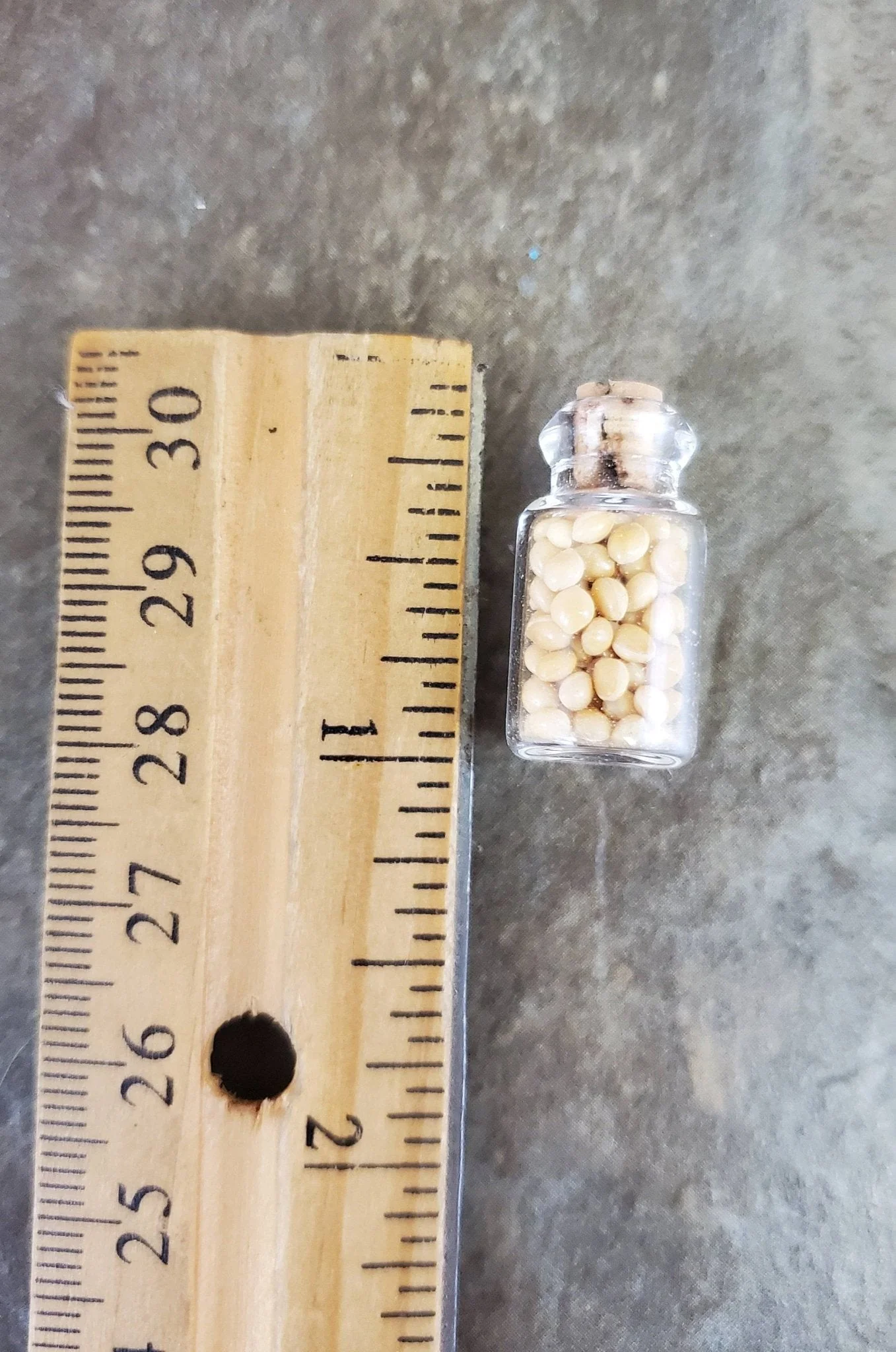Dollhouse Miniature Glass Spice Jars with Cork 1:12 Scale Food Kitchen Accessory - Image 3