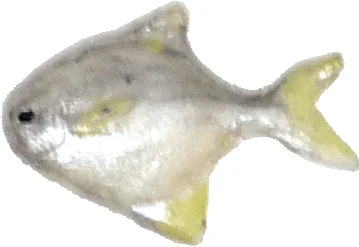 Dollhouse Pomfret Fish 1:12 Scale Miniature Food Kitchen