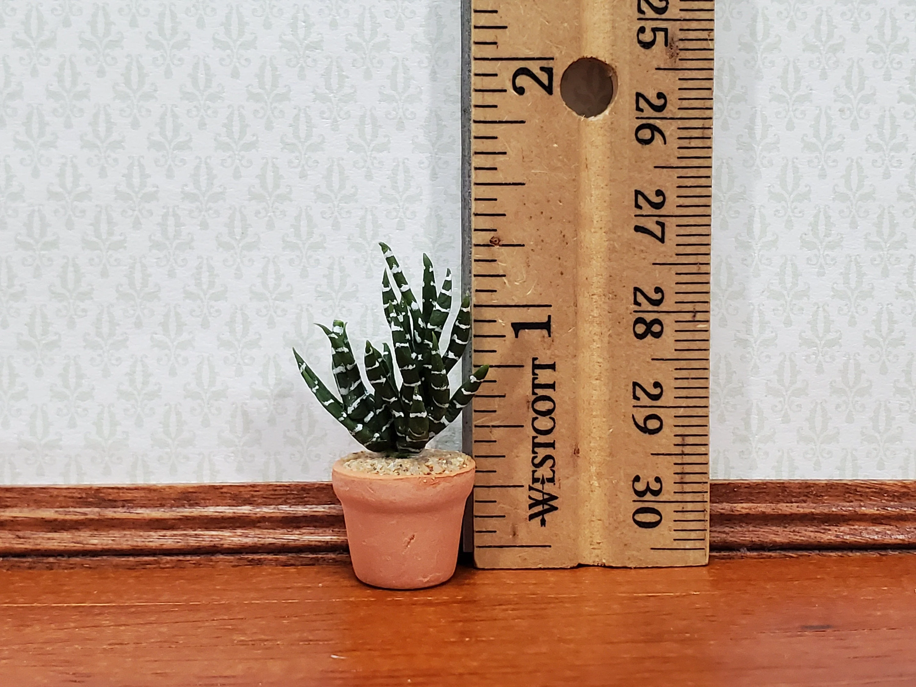 Dollhouse Succulent Zebra Plant in a Terra Cotta Planter 1:12 Scale Miniature - Image 3