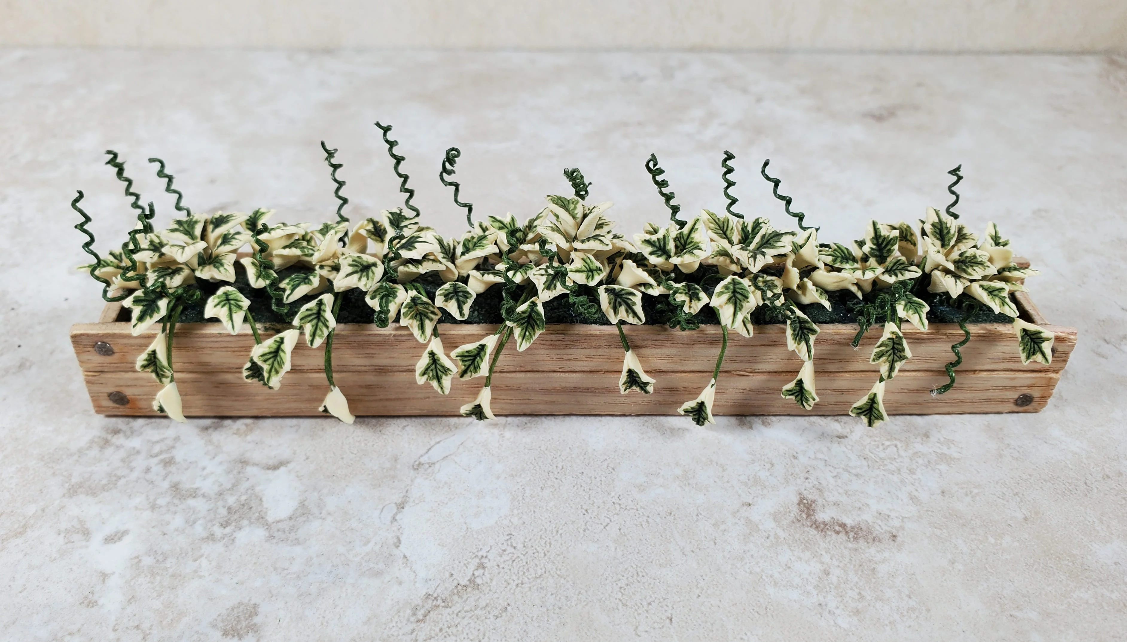 Dollhouse Variegated Ivy in 5.5" Wooden Window Box Planter 1:12 Scale Miniature