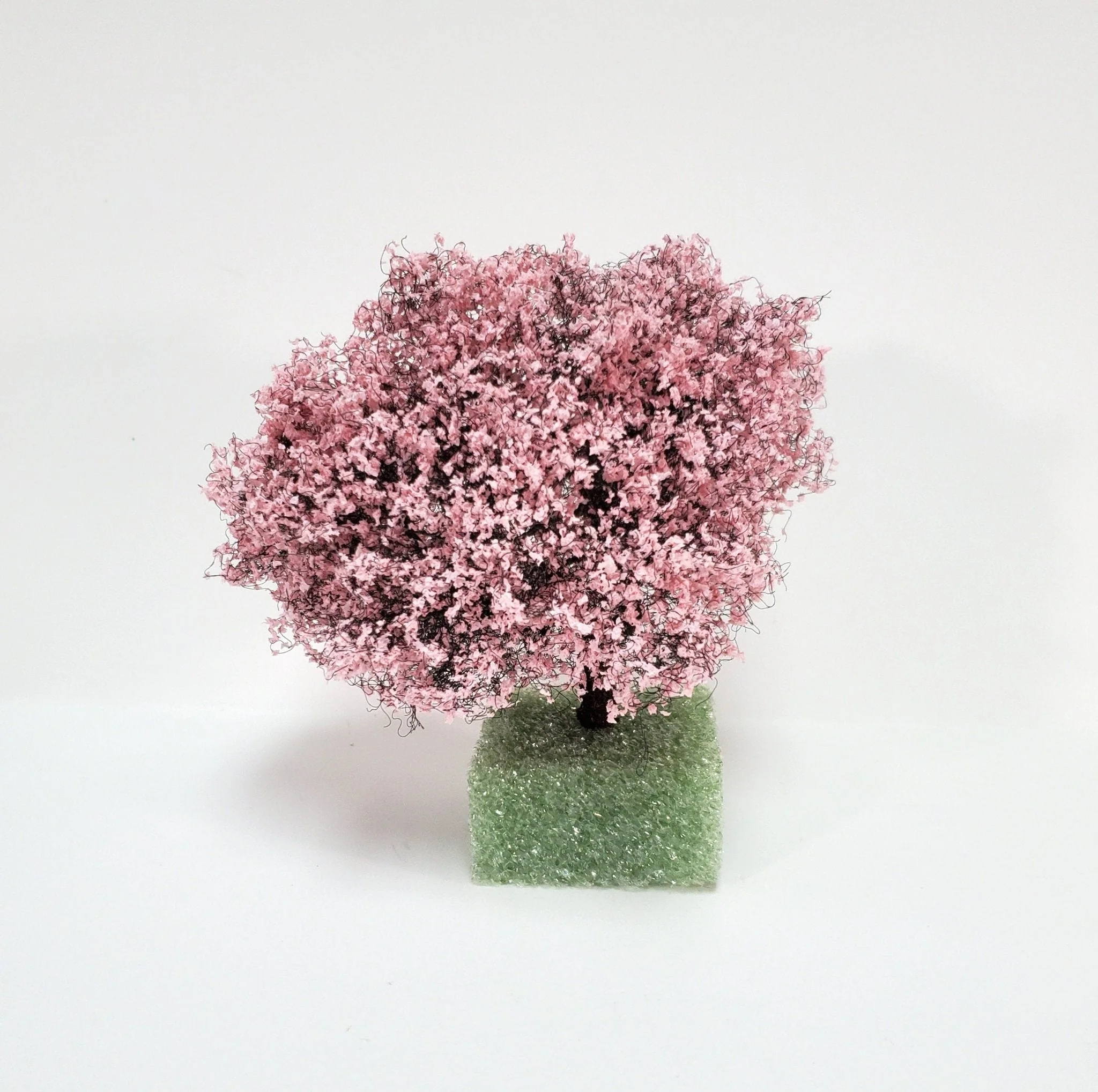 Miniature Flowering Cherry Tree or Bush Large Pink & White 4" Tall