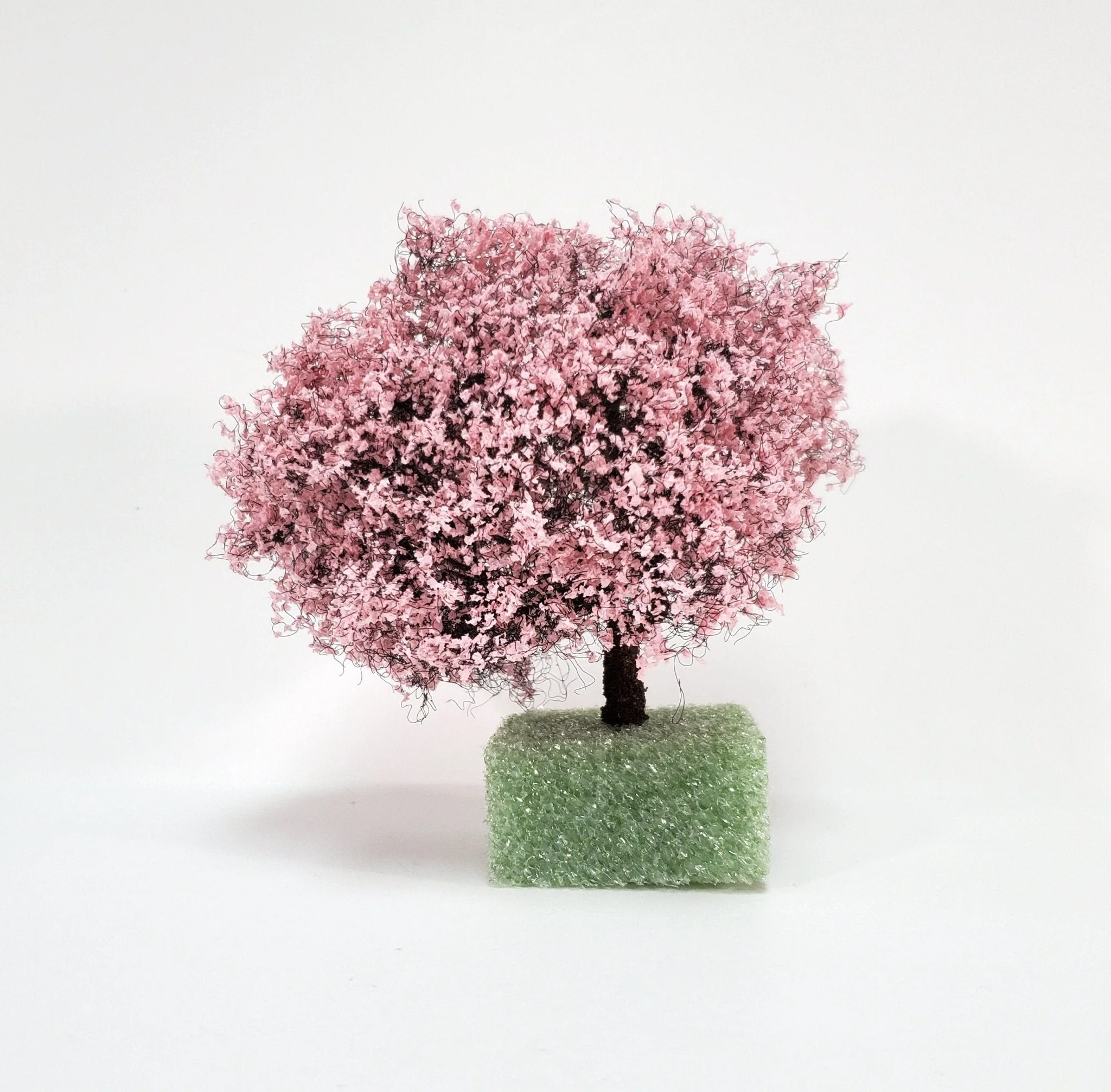 Miniature Flowering Cherry Tree or Bush Large Pink & White 4" Tall - Image 2