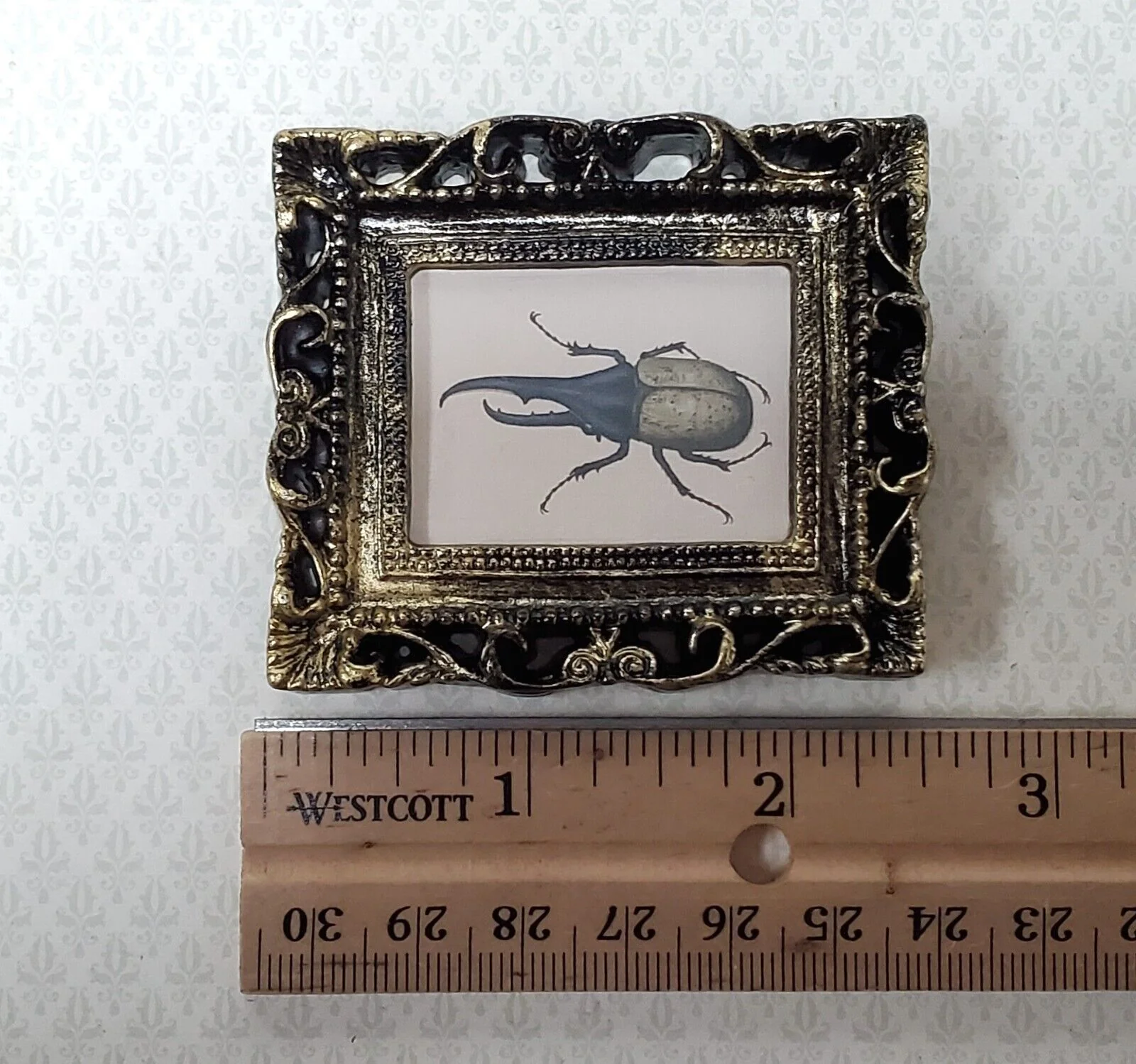 Miniature Hercules Beetle Framed Print 1:12 Scale Miniature Picture - Image 4