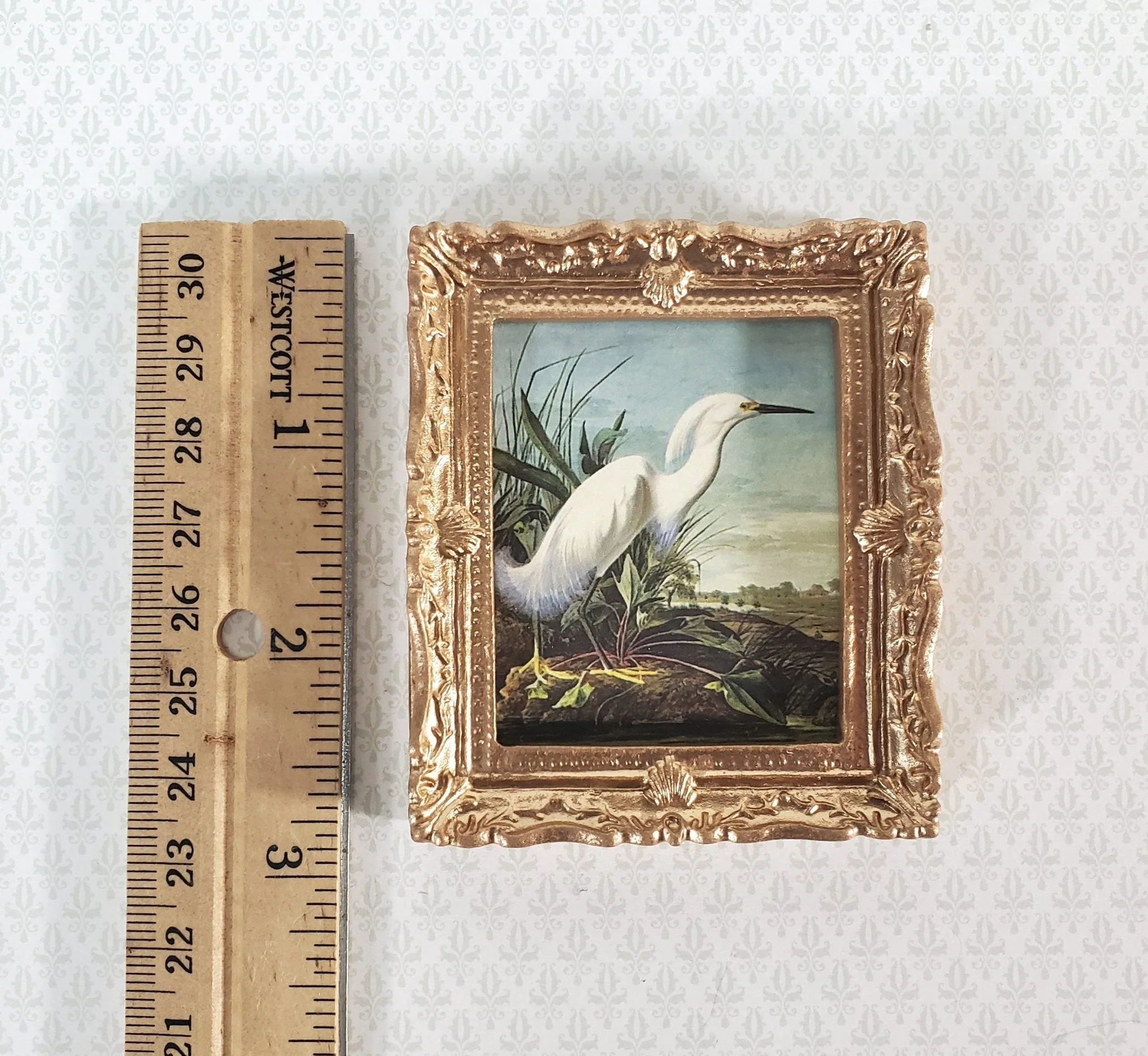 Miniature John James Audubon Print White Egret Bird 1:12 Scale Dollhouse Decor - Image 4