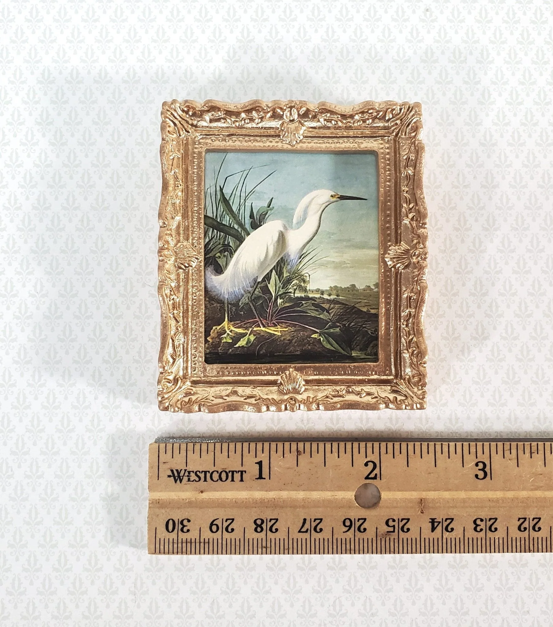 Miniature John James Audubon Print White Egret Bird 1:12 Scale Dollhouse Decor - Image 5