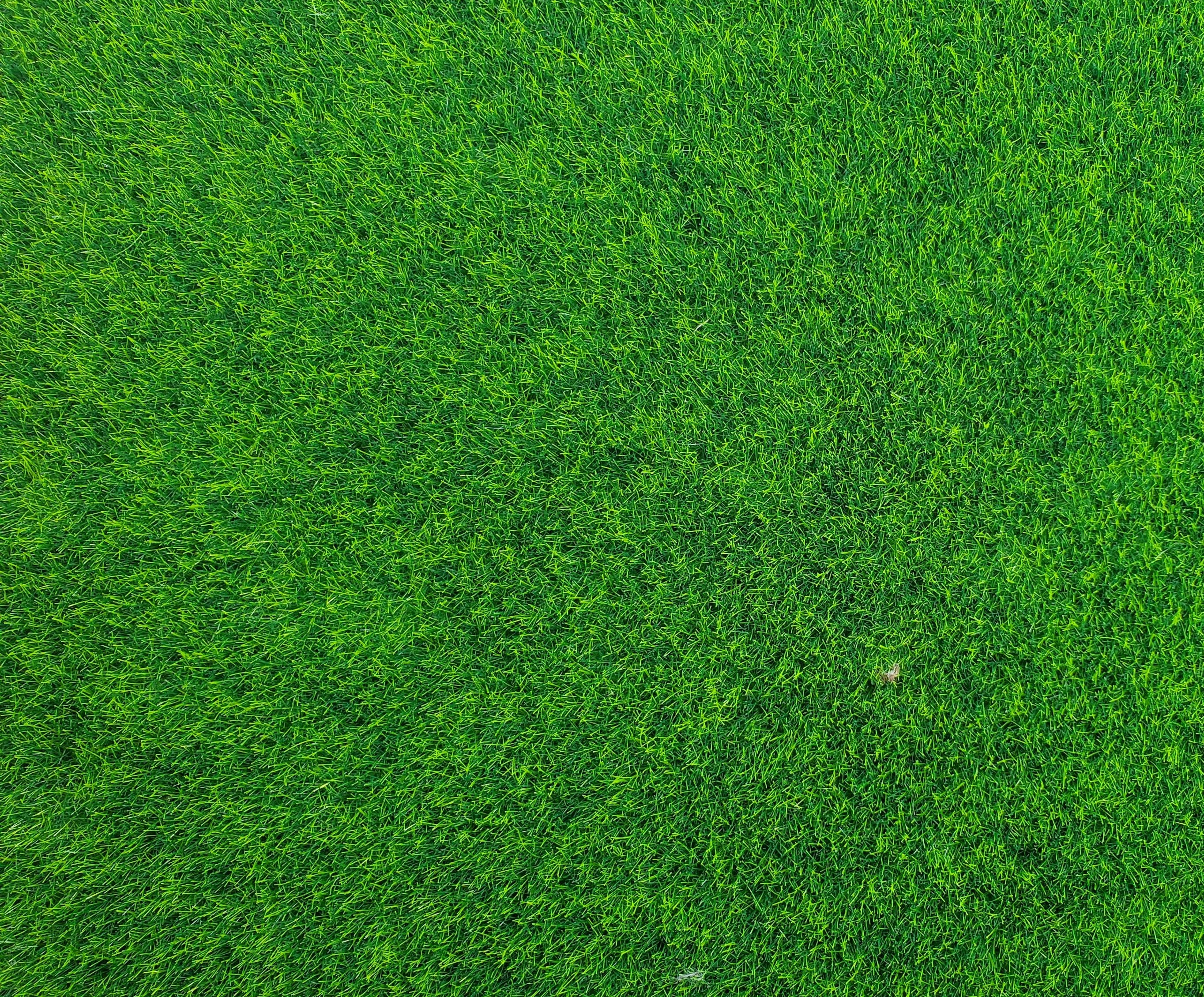 Miniature Lawn Grass Square Dollhouse Yard Gardens Model Scenery 11 3/4" x 12" - Image 3