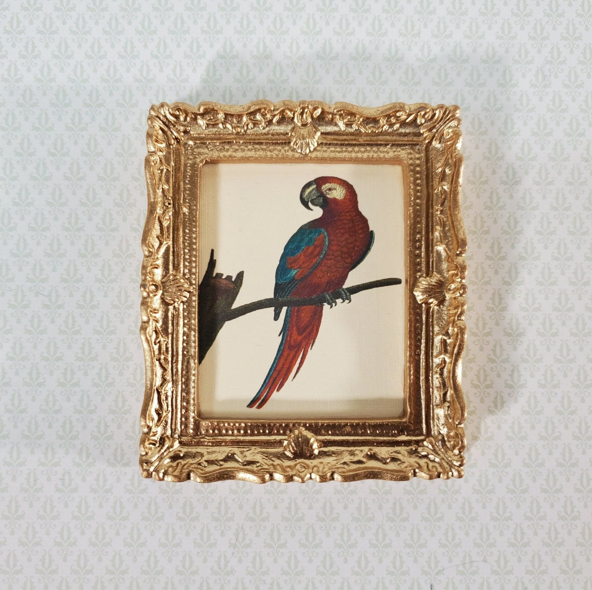 Miniature Red Parrot Vintage Framed Art Print in Gold Frame 1:12 Scale Dollhouse
