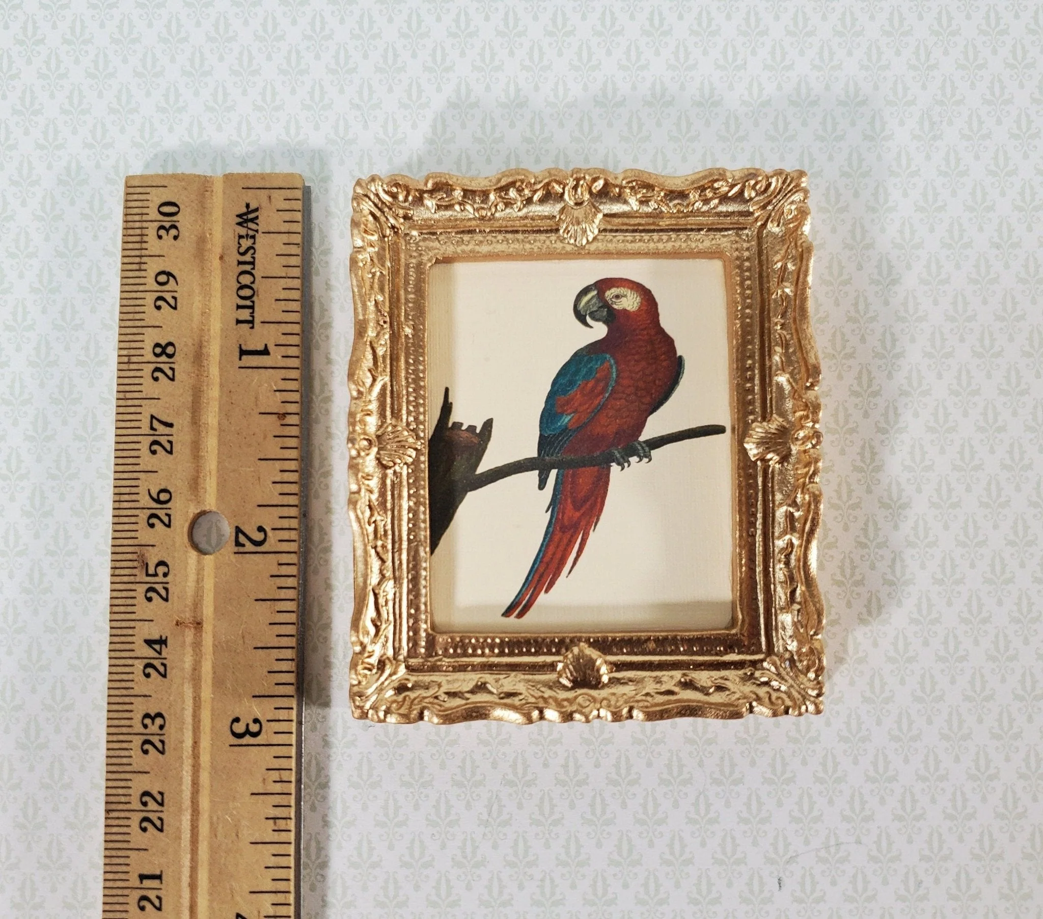Miniature Red Parrot Vintage Framed Art Print in Gold Frame 1:12 Scale Dollhouse - Image 3
