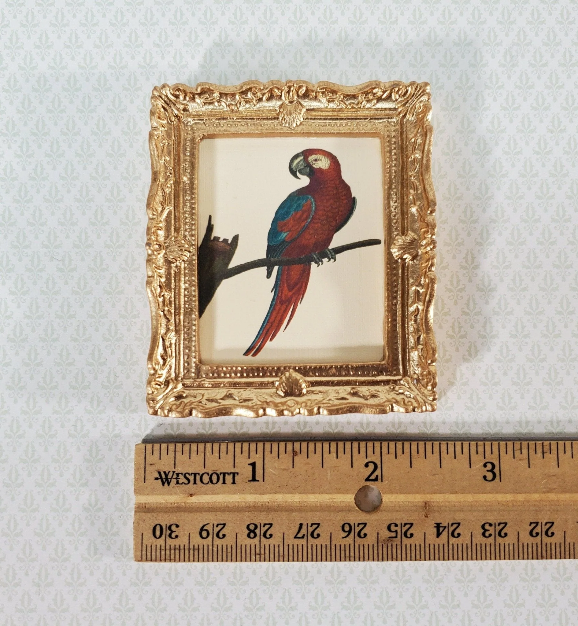 Miniature Red Parrot Vintage Framed Art Print in Gold Frame 1:12 Scale Dollhouse - Image 4