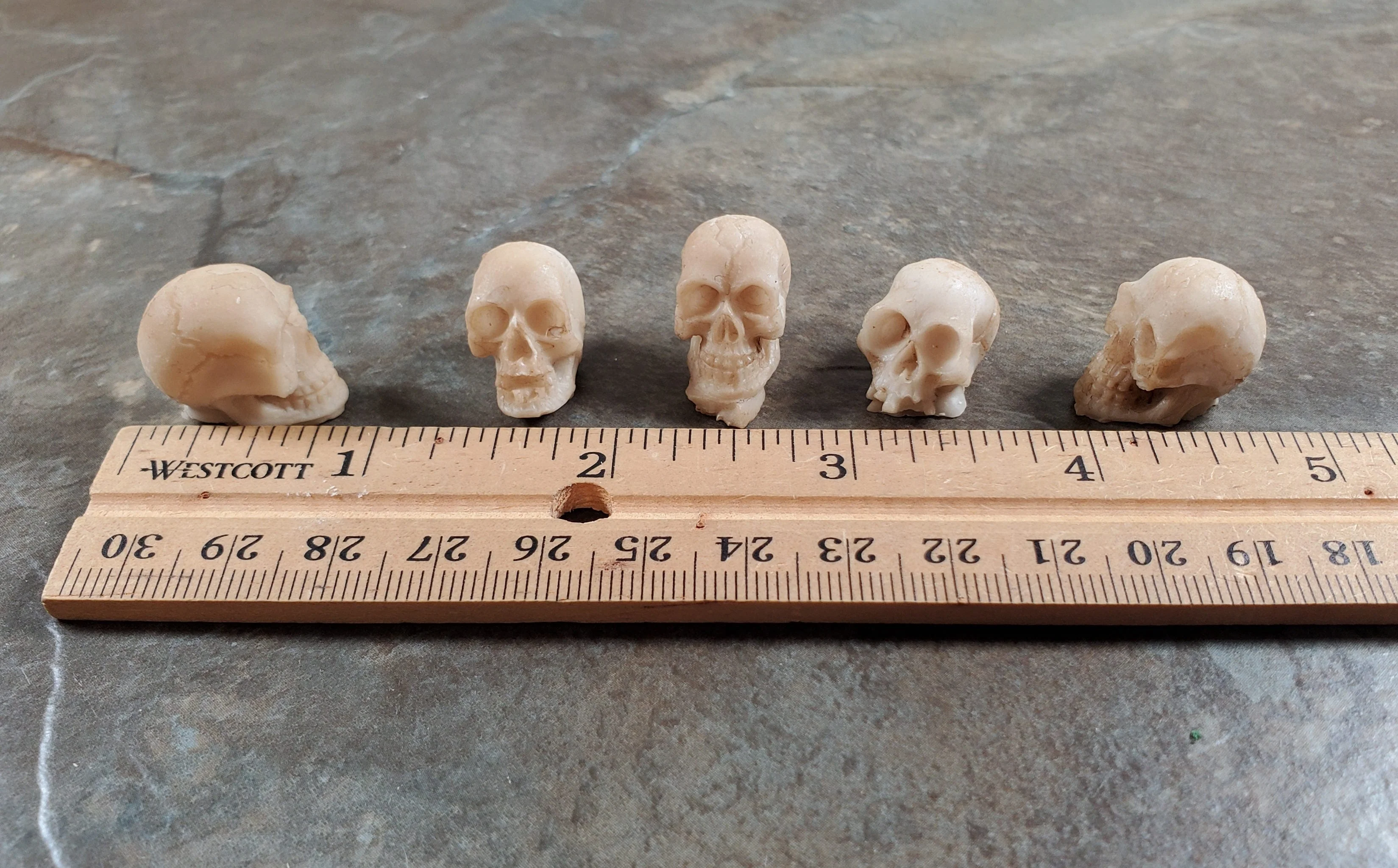 Miniature Skulls Tiny 5 Random 1:12 Scale Halloween Decoration Scale Model Resin - Image 4