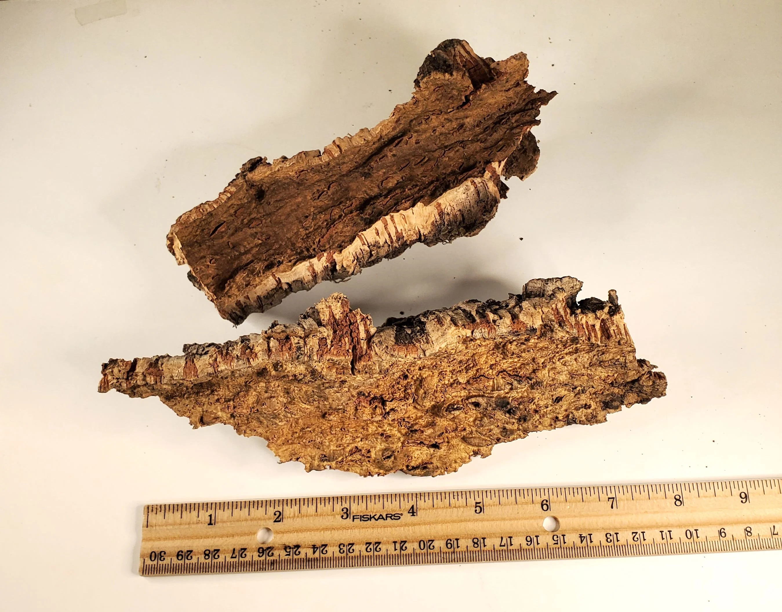 Natural Cork Bark Random 4-5 oz Pack JAVIS Model RR Dioramas Scenery Terrariums - Image 6
